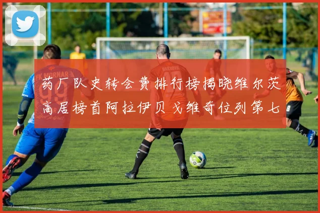 药厂队史转会费排行榜揭晓维尔茨高居榜首阿拉伊贝戈维奇位列第七